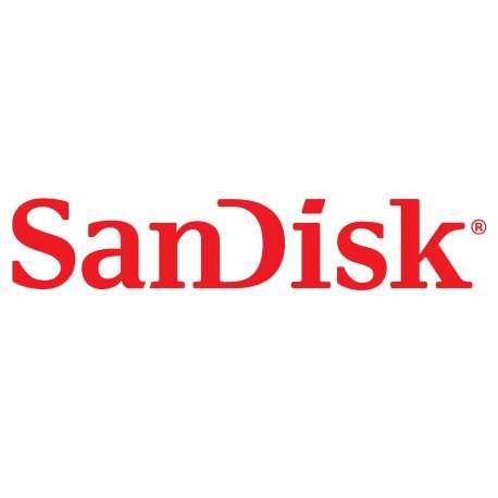 Sandisk SDIX60N-064G-GN6NN mémoire flash - 1