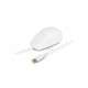 Urban Factory AWM68UF souris USB Type-A Optique 800 DPI - 1