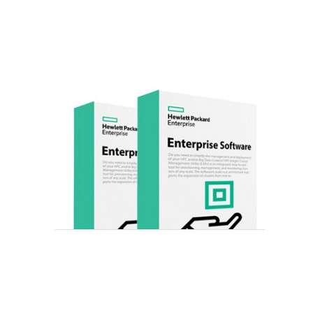 Hewlett Packard Enterprise StoreEver MSL3040 KMIP Key Manager E-LTU Base 1 licences Licence - 1