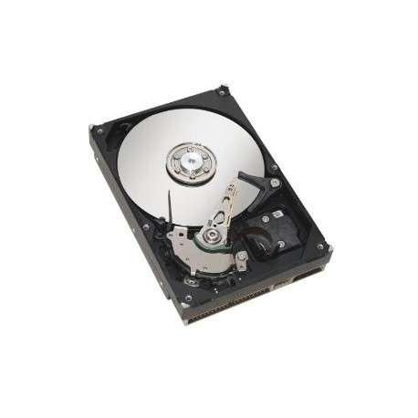 Fujitsu S26361-F3951-L100 1000Go Série ATA III disque dur - 1