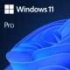 Microsoft Windows 11 Pro 1 licences - 1