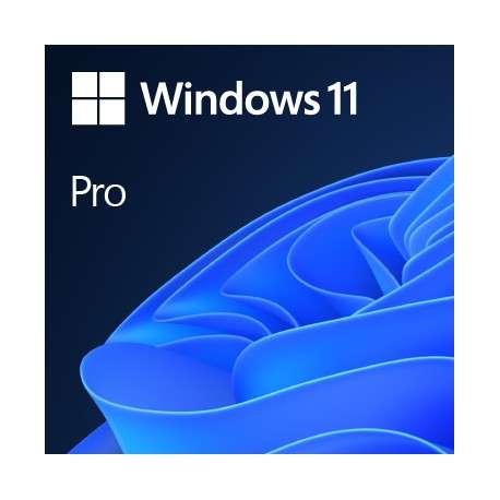 Microsoft Windows 11 Pro 1 licences - 1