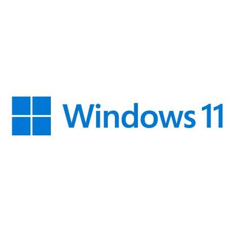 Microsoft Windows 11 Pro 1 licences - 1