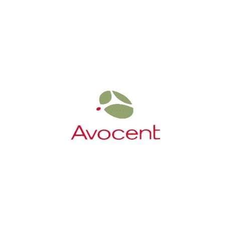 Vertiv Avocent RJ-45F to DB-25M crossover adapter RJ-45 DB-25 adaptateur et connecteur de câbles - 1