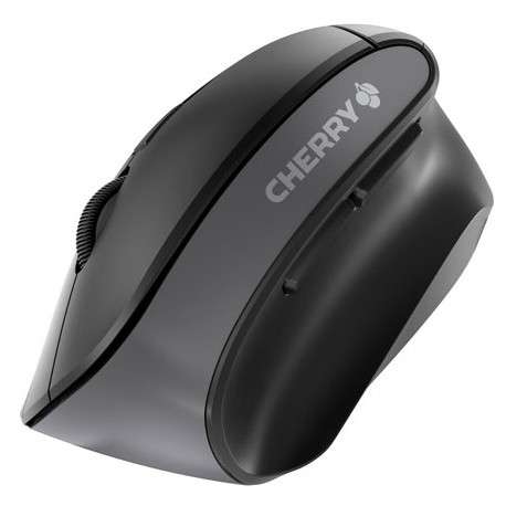 CHERRY JW-4500 USB Optique Ambidextre Noir souris - 1