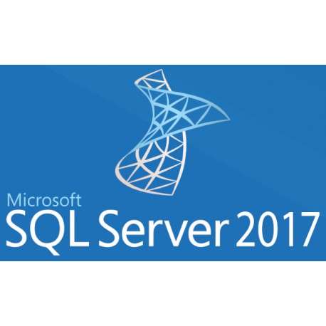 Microsoft SQL Server 2017 Standard - 1