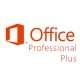Microsoft Office Professional Plus 2013 - 1