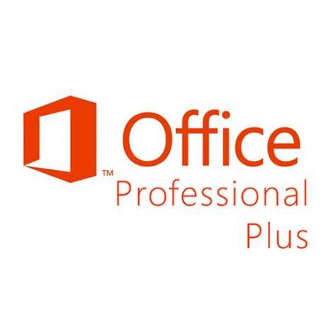 Microsoft Office Professional Plus 2013 - 1