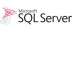 Microsoft SQL Standard Core - 1