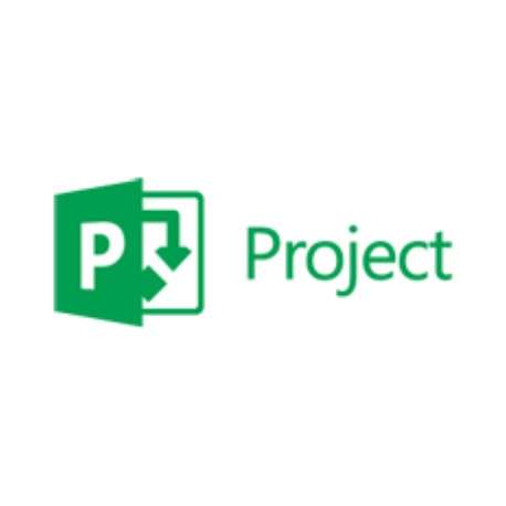 Microsoft Project Professional, 2Y, Level D, Government, Additional Product - 1