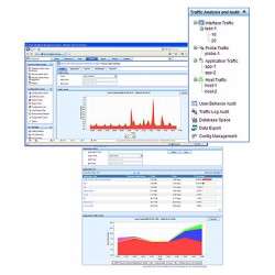 Hewlett Packard Enterprise IMC Network Traffic Analyzer - 1