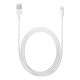 Apple Lightning - USB 2m USB A Eclairage Blanc câble de téléphone portable - 2