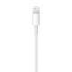Apple Lightning - USB 2m USB A Eclairage Blanc câble de téléphone portable - 5