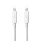 Apple Thunderbolt 0.5m 0.5m Blanc Câble Thunderbolt - 1