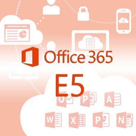 Microsoft Office 365 Enterprise E5 - 1