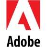 Adobe 65272403BB02A12 licence et mise à jour de logiciel - 1