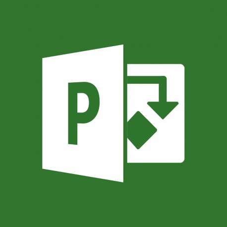 Microsoft Project Professional - 1