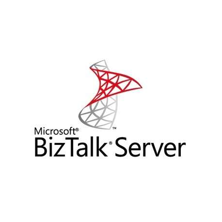 Microsoft BizTalk Server 2 licences - 1